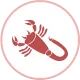 Bọ Cạp
